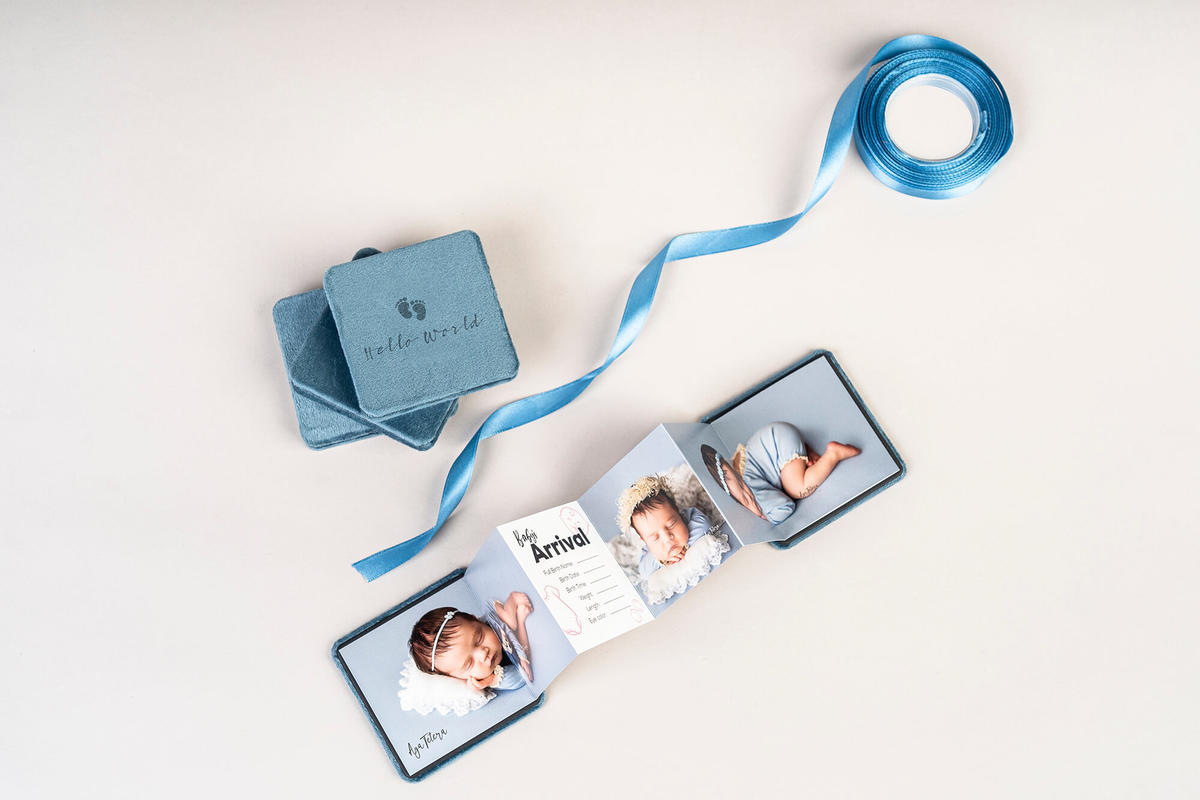 Accordion Mini Book A photographer's love affair Professional